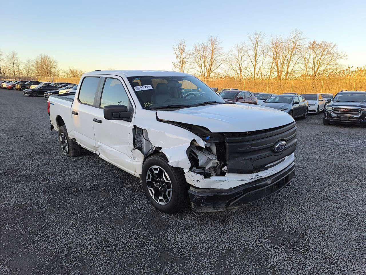 2023 FORD F150 LIGHTNING PRO VIN:1FTVW1EL6PWG44722