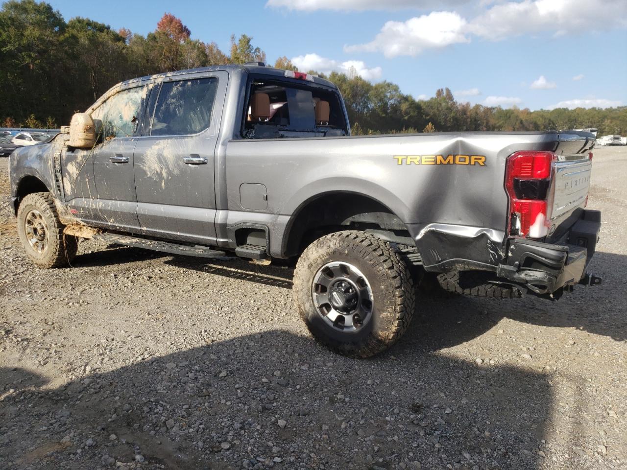 2024 FORD F250 SUPER DUTY VIN:1FT8W2BM4RED62295