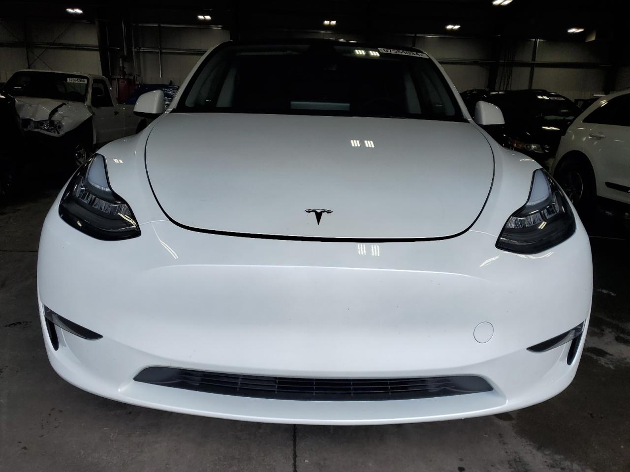 2023 TESLA MODEL Y  VIN:7SAYGDEE6PF599379