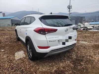 2017 Hyundai Tucson KMHJ381ABJU515386 VIN:KMHJ381ABJU515386