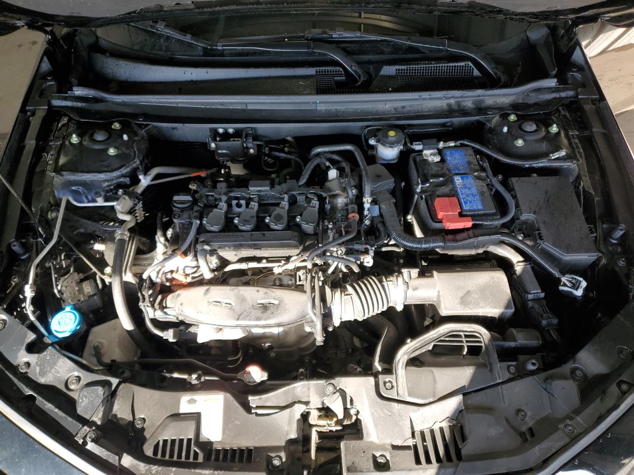 2024 HONDA ACCORD LX VIN:1HGCY1F28RA060296