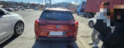 2019 Lexus UX 250 JTHY6JBH4K2035723 VIN:JTHY6JBH4K2035723
