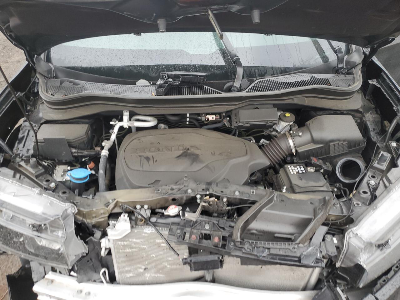 2022 HONDA PASSPORT TRAIL SPORT VIN:5FNYF8H68NB009420