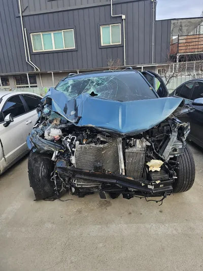 2021 Kia Carnival KNANC81BBMS047966 VIN:KNANC81BBMS047966