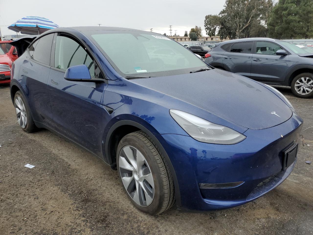 2024 TESLA MODEL Y  VIN:7SAYGDEE6RF060277