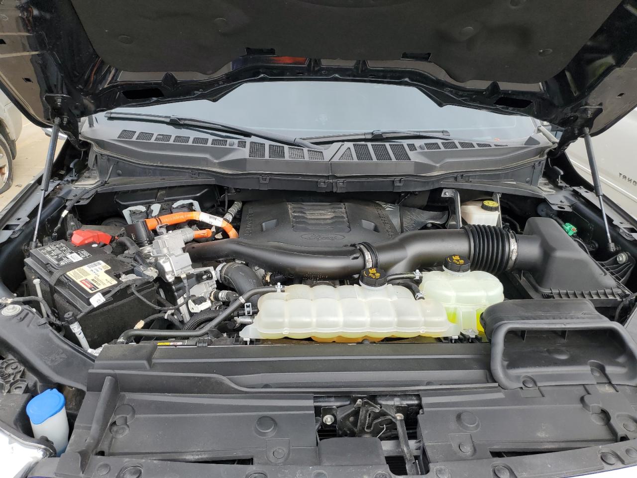 2022 FORD F150 SUPERCREW VIN:1FTFW1EDXNFA24966