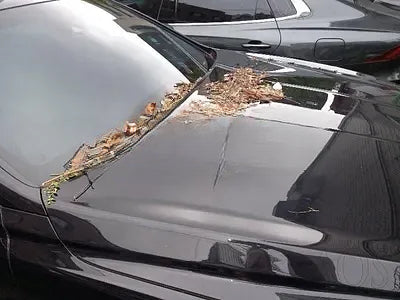 2020 Genesis G90 NONE VIN: