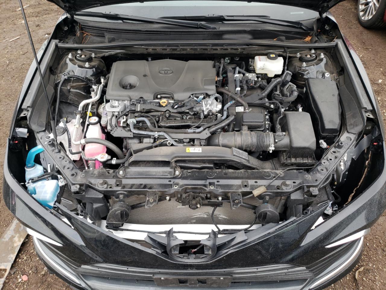 2023 TOYOTA CAMRY XLE VIN:4T1F31AK1PU616019