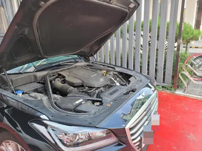 2015 acupuncture nessis 3.3 VIN: