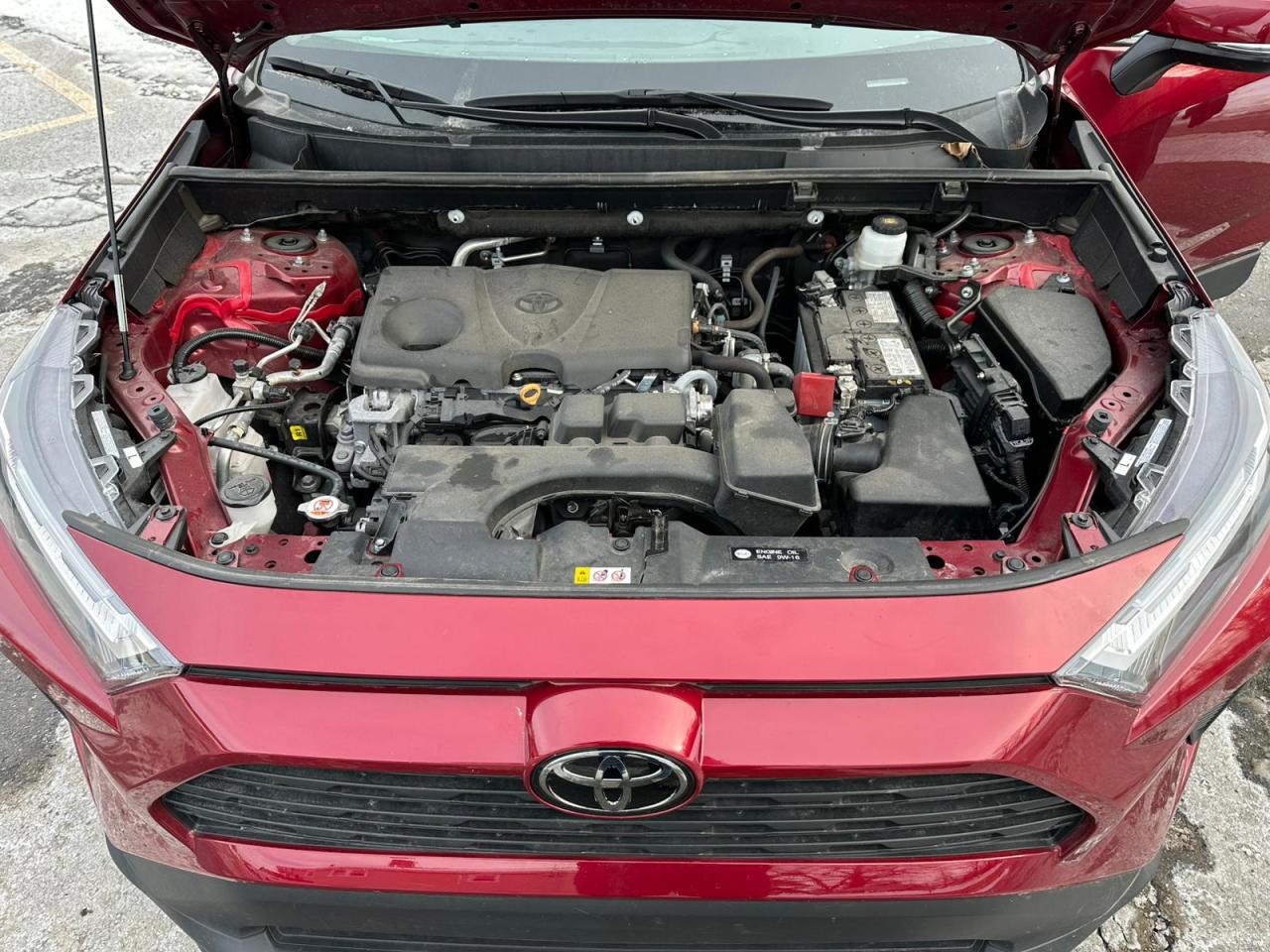 2023 TOYOTA RAV4 XLE VIN:2T3W1RFVXPW284807