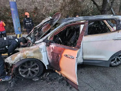 2016 Hyundai Santa FE KMHSW81UBHU739194 VIN:KMHSW81UBHU739194