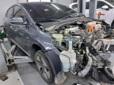 2020 Hyundai Ioniq KMHC051CGLU209308 VIN:KMHC051CGLU209308