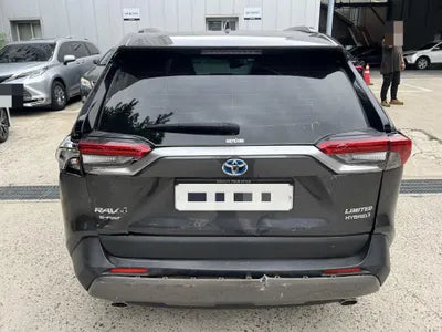 2019 Toyota RAV4 VIN: