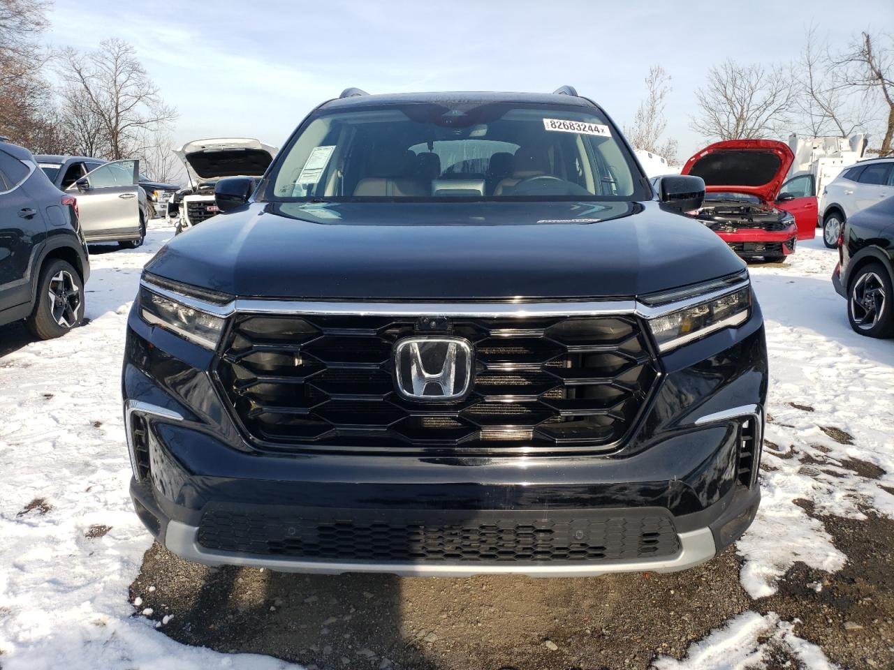 2024 HONDA PILOT ELITE VIN:5FNYG1H84RB006123