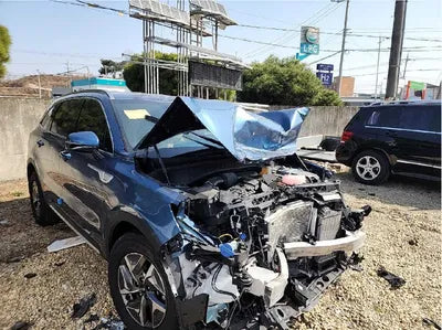 2021 Kia Sorento KNARH81GBMA047432 VIN:KNARH81GBMA047432