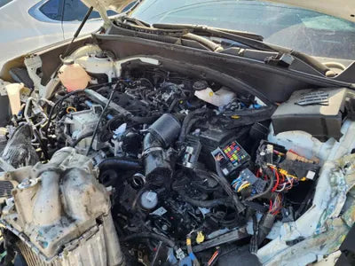 2020 Hyundai Santa FE KMHS381HGMU323976 VIN:KMHS381HGMU323976