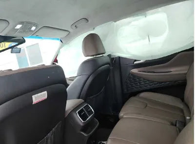 2020 Hyundai Santa FE KMHS381BBLU207243 VIN:KMHS381BBLU207243