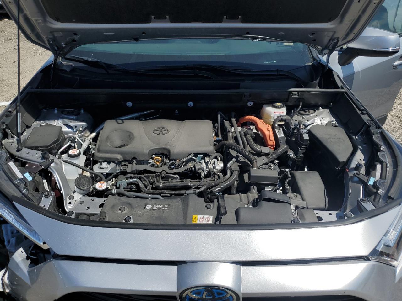 2024 TOYOTA RAV4 LE VIN:4T3MWRFV6RU159637