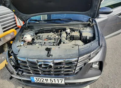 2021 Hyundai Tucson KMHJC81BGMU009847 VIN:KMHJC81BGMU009847