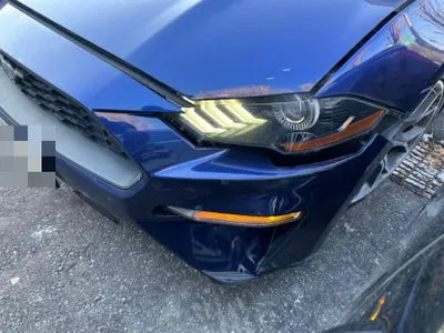 2019 Ford Mustang 442KM1FA6P8TH4K51 VIN:442KM1FA6P8TH4K51