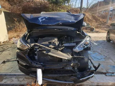 2018 Hyundai Santa FE KMHSW81UBJU843722 VIN:KMHSW81UBJU843722