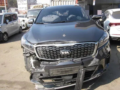 2018 Kia Sorento KNAPG81ABKA531825 VIN:KNAPG81ABKA531825