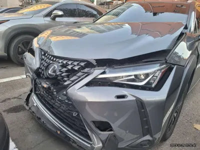 2019 Lexus UX 250 JTHY6JBHXK2026749 VIN:JTHY6JBHXK2026749