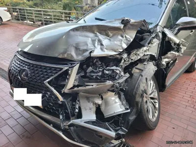 2021 Lexus RX 450 JTJBGMCA1M2063003 VIN:JTJBGMCA1M2063003