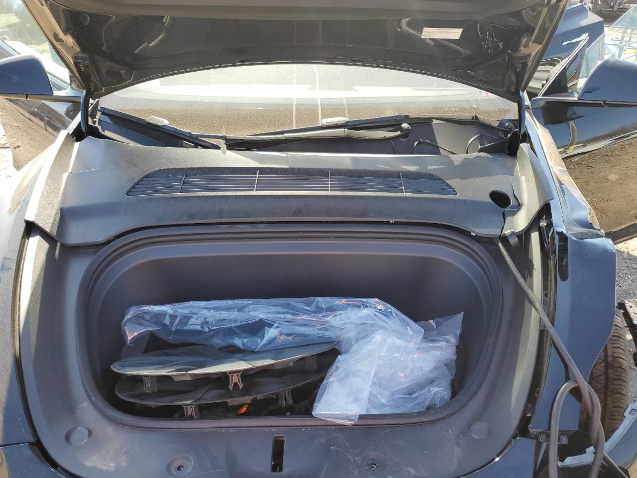 2024 TESLA MODEL Y  VIN:7SAYGDEE8RF153642