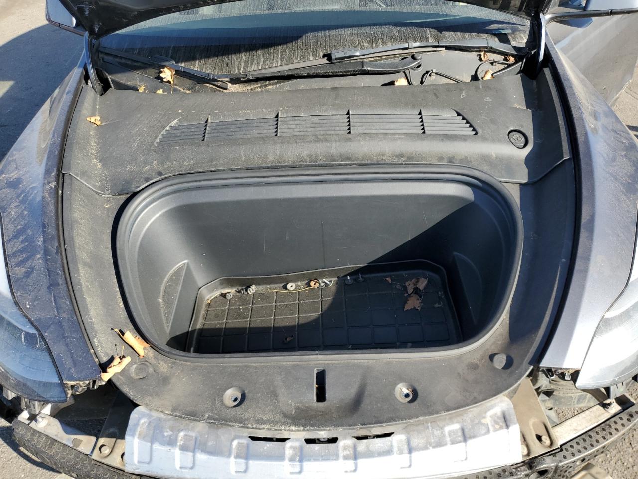 2022 TESLA MODEL Y  VIN:7SAYGDEF5NF338301