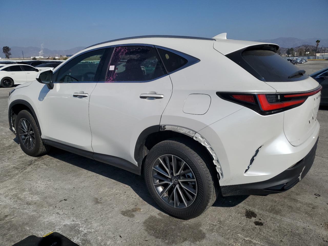 2024 LEXUS NX 250 BASE VIN:JTJADCAZXR5016226