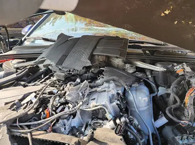 2021 Audi A4 WAUZZZF42MN001071 VIN:WAUZZZF42MN001071