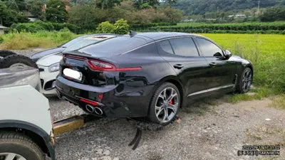 2020 Kia Stinger KNAE351ABLS084289 VIN:KNAE351ABLS084289