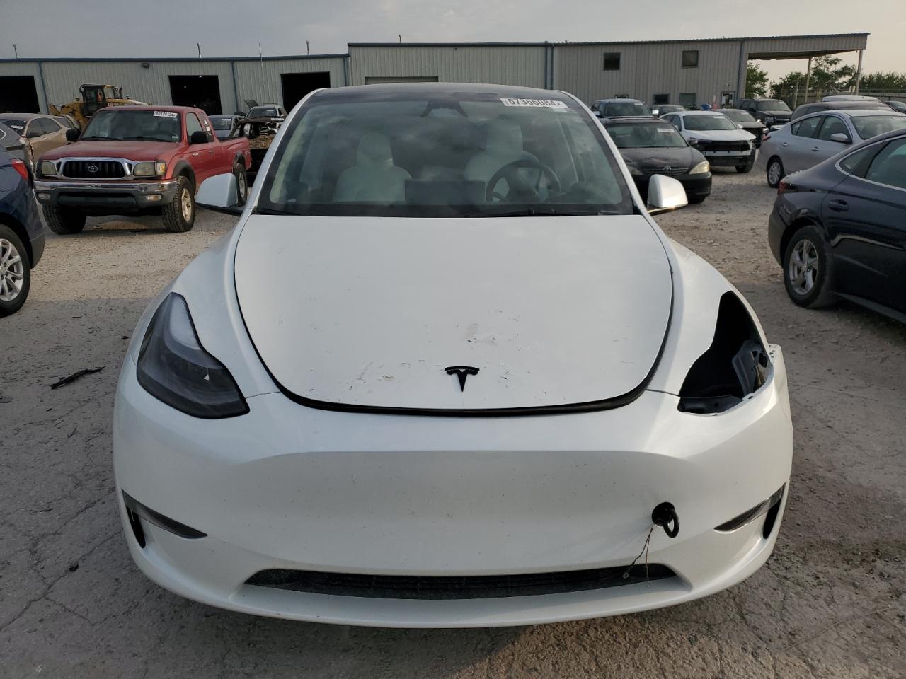 2023 TESLA MODEL Y  VIN:7SAYGDEE4PF810174