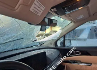 2021 Kia Carnival KNANC81BBMS018195 VIN:KNANC81BBMS018195