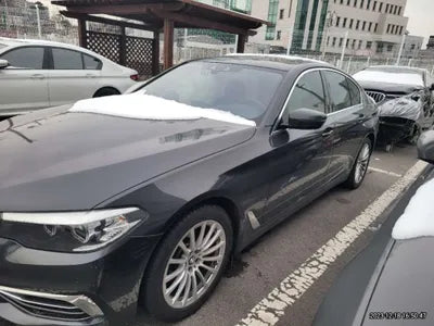 2019 BMW 520 WBAJK7108KGL28831 VIN:WBAJK7108KGL28831