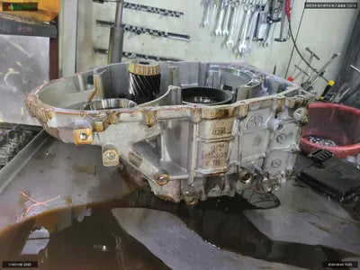2020 Kia Carnival KNANC81BBMS009800 VIN:KNANC81BBMS009800