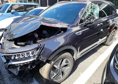 2022 Kia Sorento KNARH81GBNA092087 VIN:KNARH81GBNA092087
