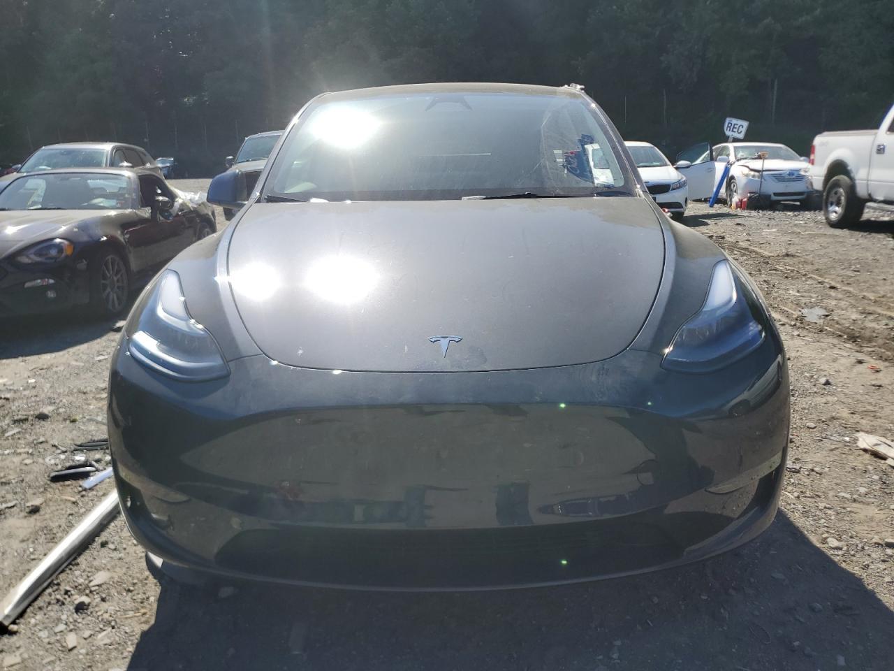 2024 TESLA MODEL Y  VIN:7SAYGDEE6RF031927