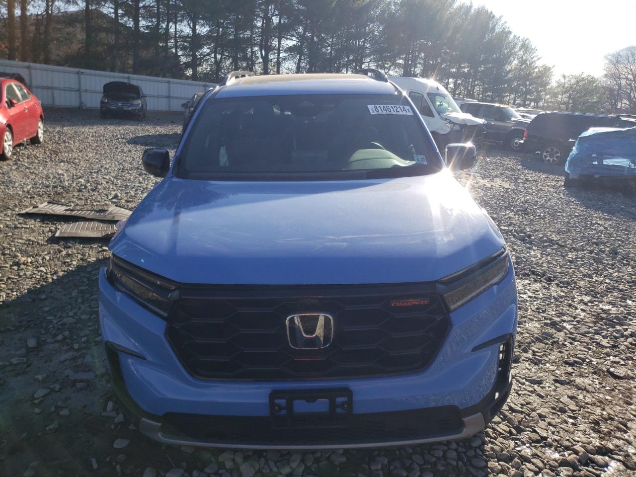 2024 HONDA PILOT TRAILSPORT VIN:5FNYG1H6XRB023507