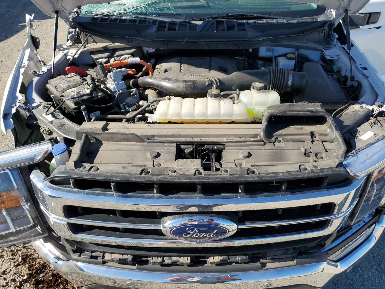 2022 FORD F150 SUPERCREW VIN:1FTFW1ED9NFB24721