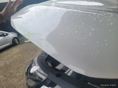 2019 Kia Sorento VIN: