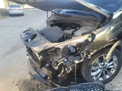 2018 Kia Sorento KNAPS81ABKA498723 VIN:KNAPS81ABKA498723