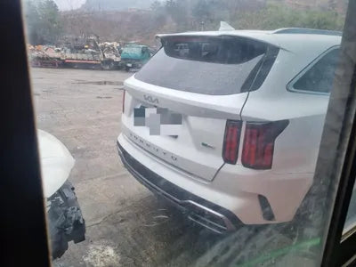 2021 Kia Sorento KNARH81GBNA083565 VIN:KNARH81GBNA083565