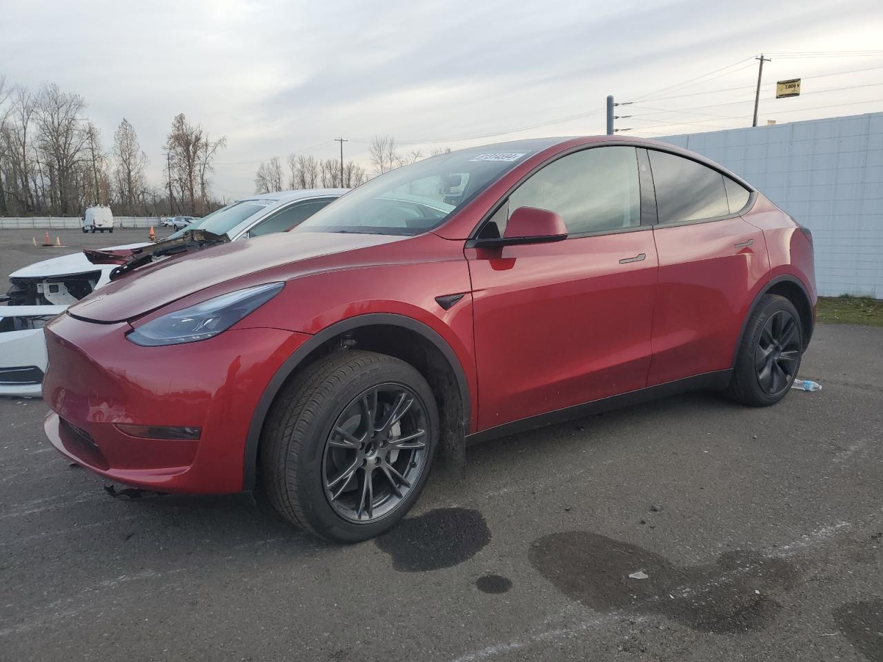2024 TESLA MODEL Y  VIN:7SAYGDED0RF201867