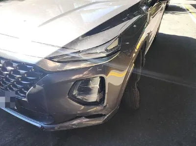 2019 Hyundai Santa FE KMHS381CDKU155389 VIN:KMHS381CDKU155389