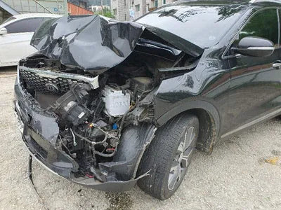 2017 Kia Sorento KNAPS81ABJA391504 VIN:KNAPS81ABJA391504