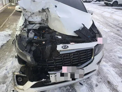 2019 Kia Carnival KNAME81ABKS487105 VIN:KNAME81ABKS487105