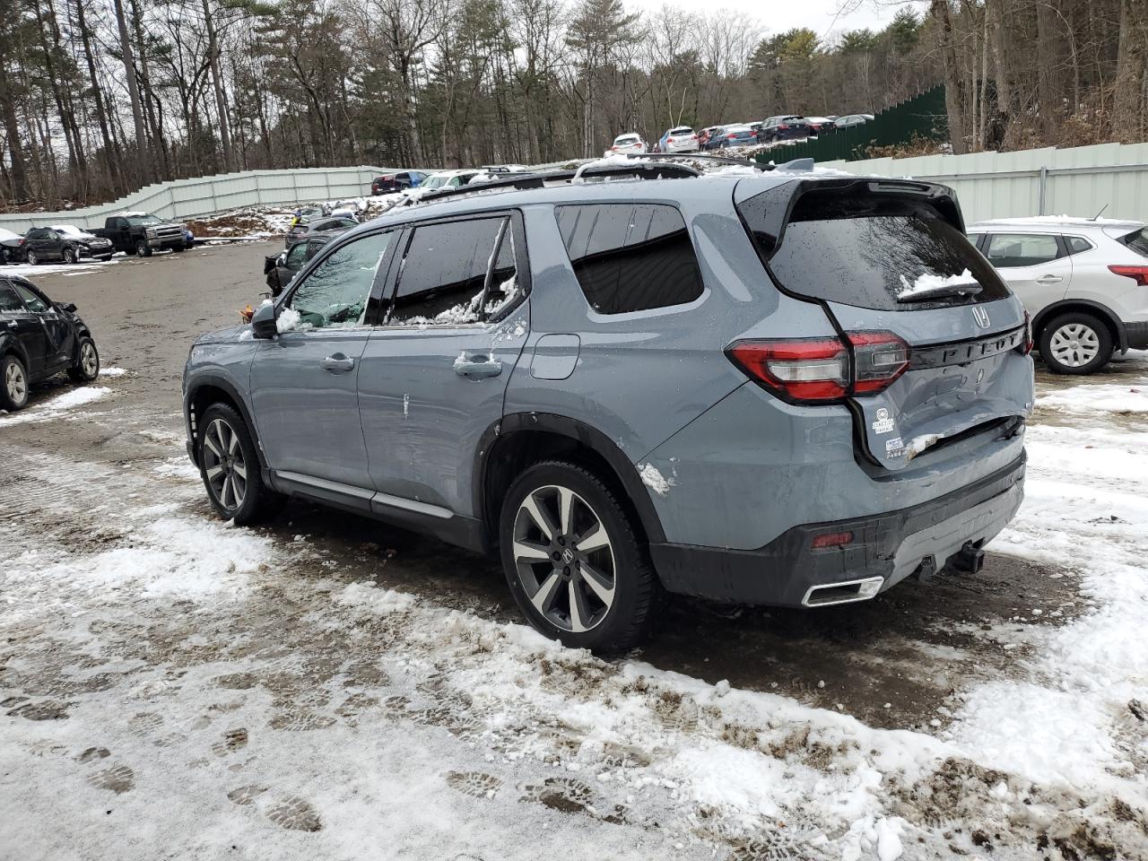 2023 HONDA PILOT ELITE VIN:5FNYG1H83PB041216