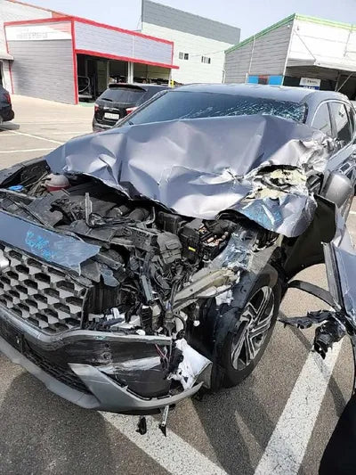 2021 Hyundai Santa FE KMHS281LGMU408378 VIN:KMHS281LGMU408378